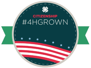 4-H citizenship leadership homeschool
