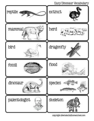 Dinosaurs and Dragons Unit Study for Homeschool Families with Early