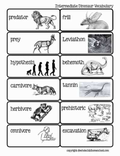 A Dinosaurs & Dragons Family Unit Study Curriculum Bundle