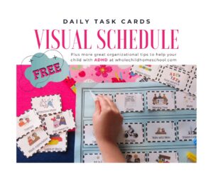 visual schedule daily task cards