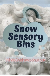 snow sensory bin