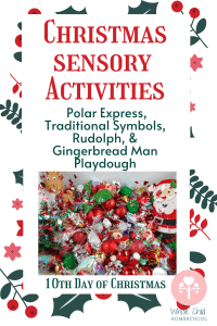 Christmas sensory bin