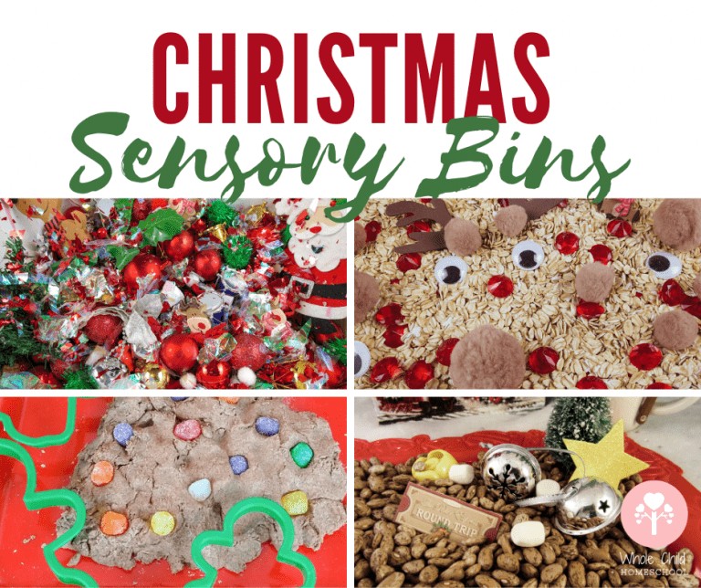 Christmas Sensory Activities for Homeschool and Preschool
