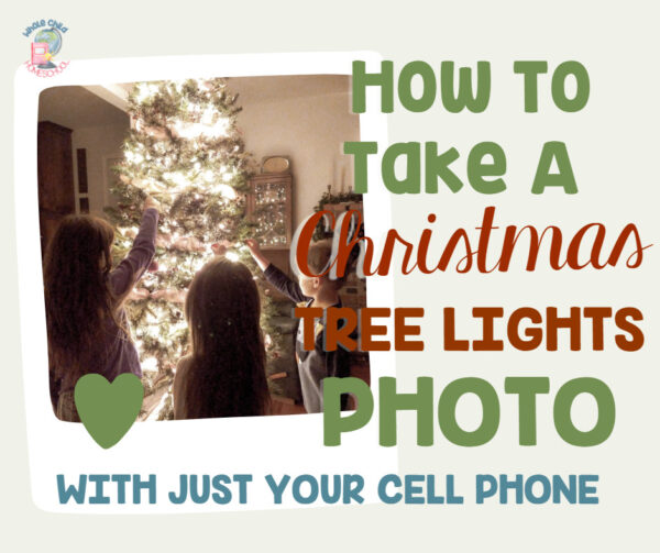 Christmas tree light photo