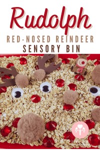 Christmas sensory bin