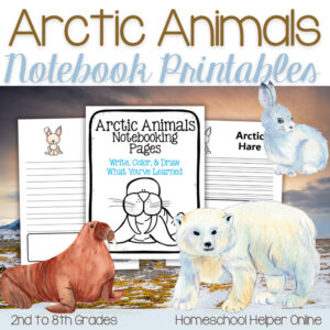 arctic animals notebooking