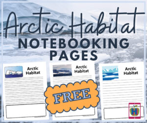 arctic habitat printables in 3 levels for elementary to middle school