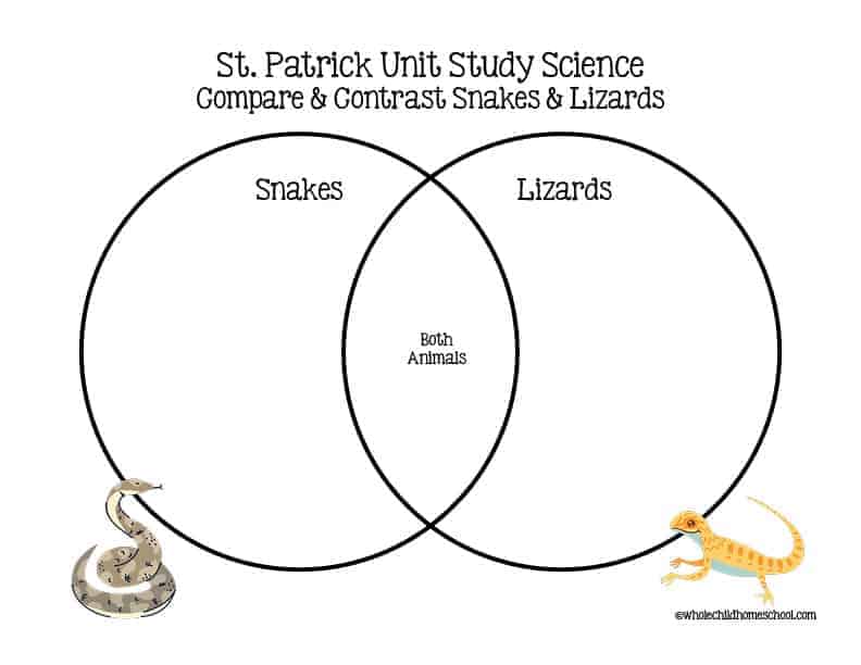 St. Patrick Unit Study BUNDLE - Image 8