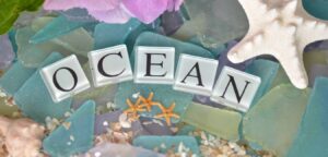 all about oceans homeschool resources