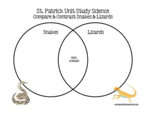 ST PATRICK STEAM lizards v snakes venn diagram