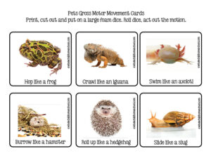 other pets gross motor cards gross motor cards for animal movements