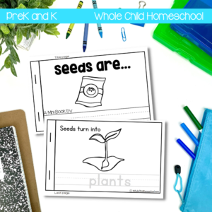 Seeds are... emergent literacy preschool book