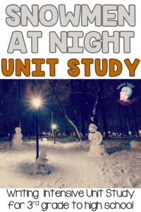 snowmen at night unit study for 3rd grade to high school