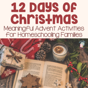 12 days of Christmas series