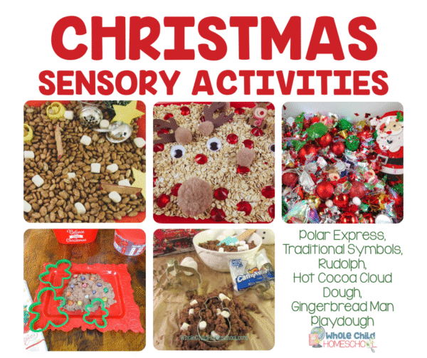 christmas sensory bins